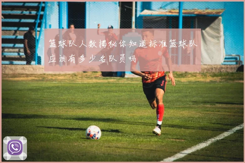 篮球队人数揭秘你知道标准篮球队应该有多少名队员吗