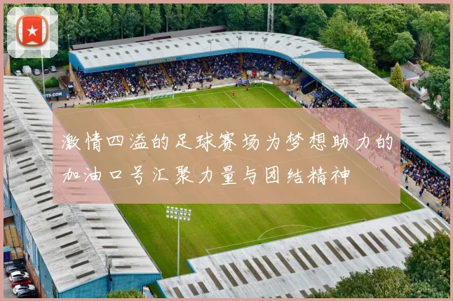 激情四溢的足球赛场为梦想助力的加油口号汇聚力量与团结精神