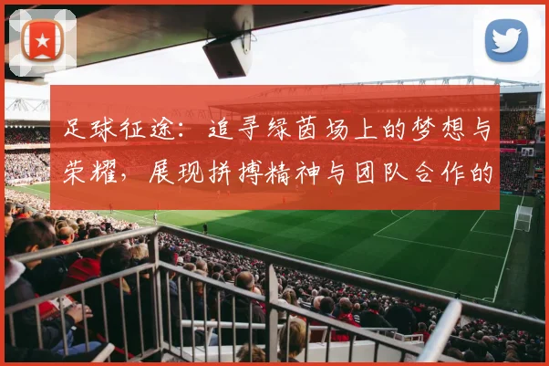 足球征途：追寻绿茵场上的梦想与荣耀，展现拼搏精神与团队合作的力量