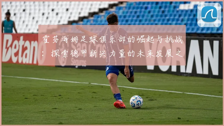 霍芬海姆足球俱乐部的崛起与挑战：探索德甲新兴力量的未来发展之路